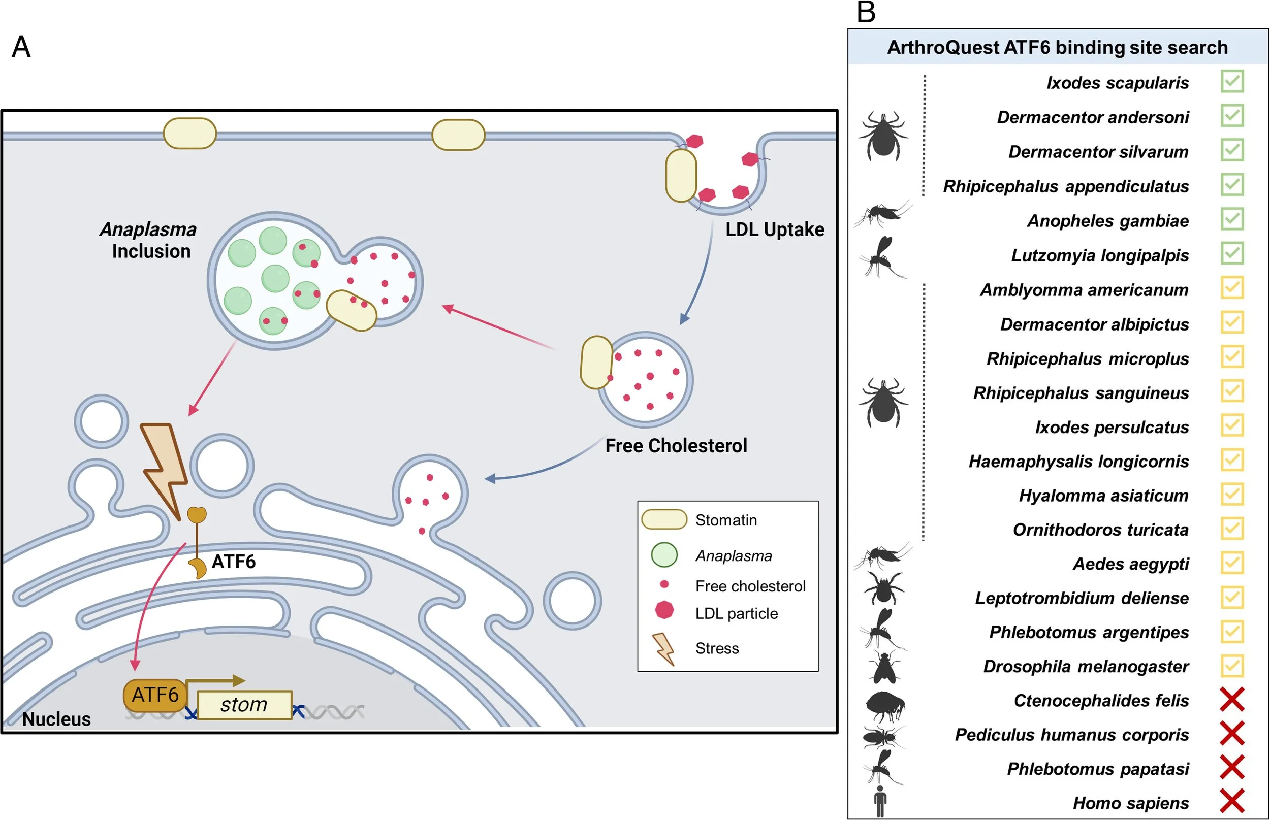 pnas.2501045122fig05.jpg