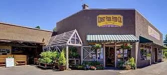 Main Street Cottage Grove