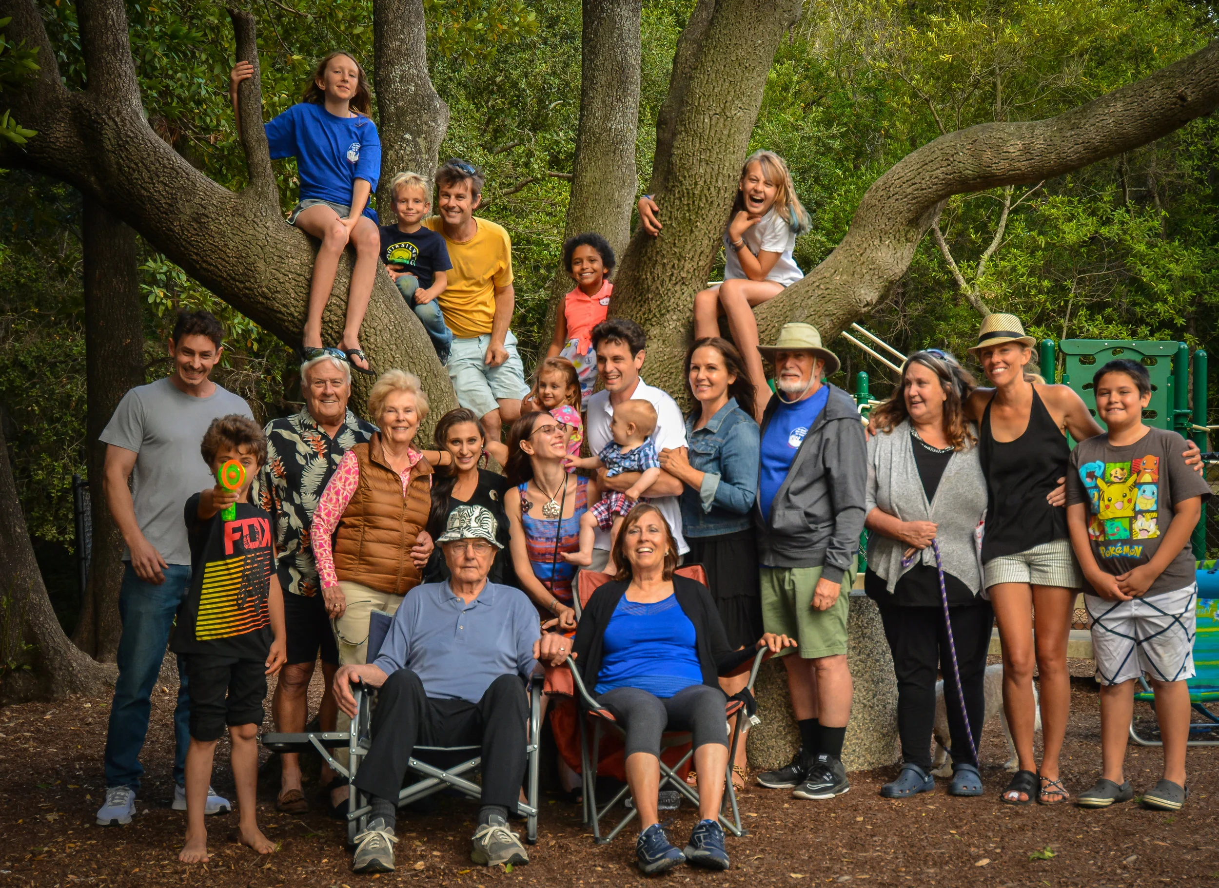 family tree
