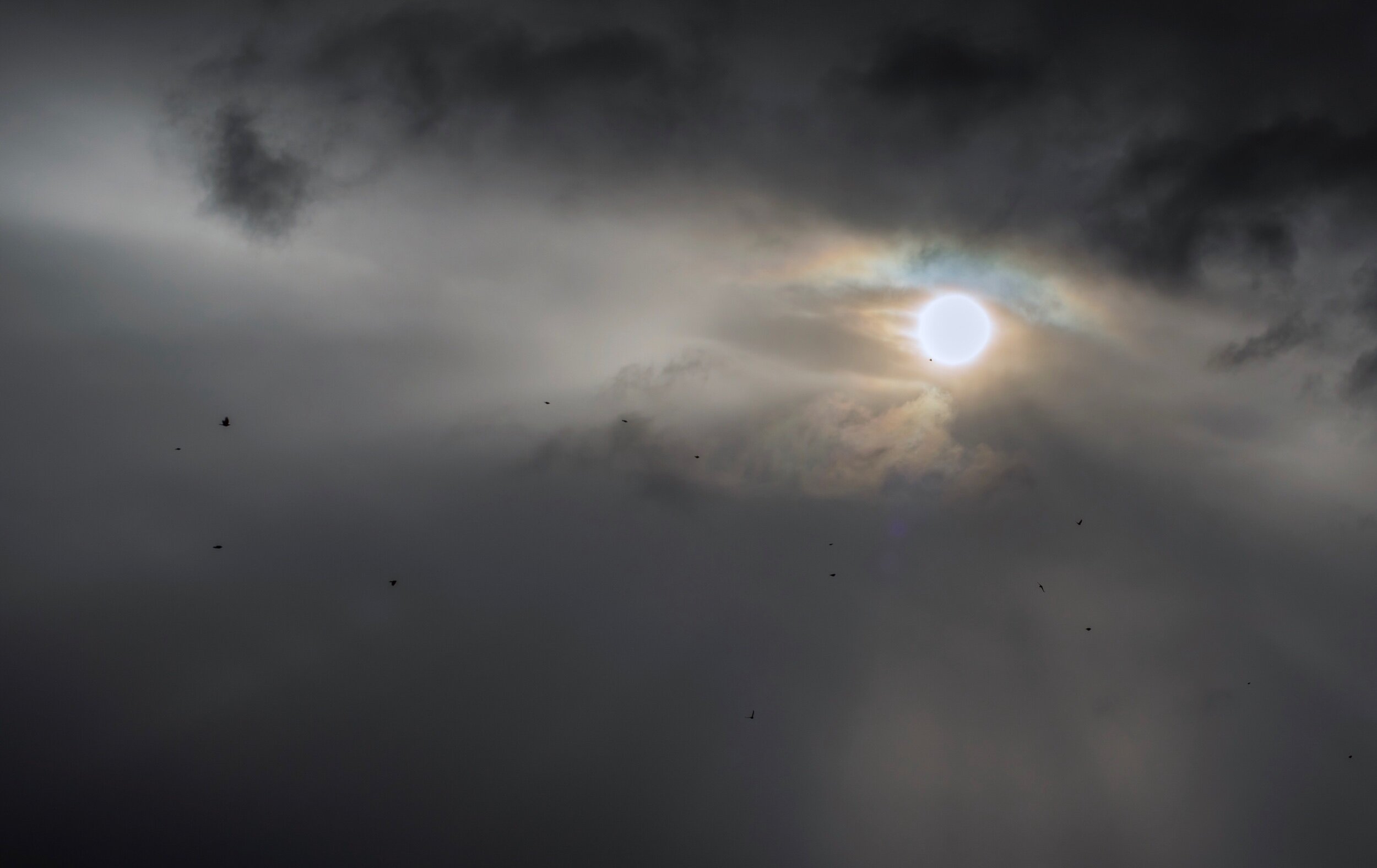 Before the storm
