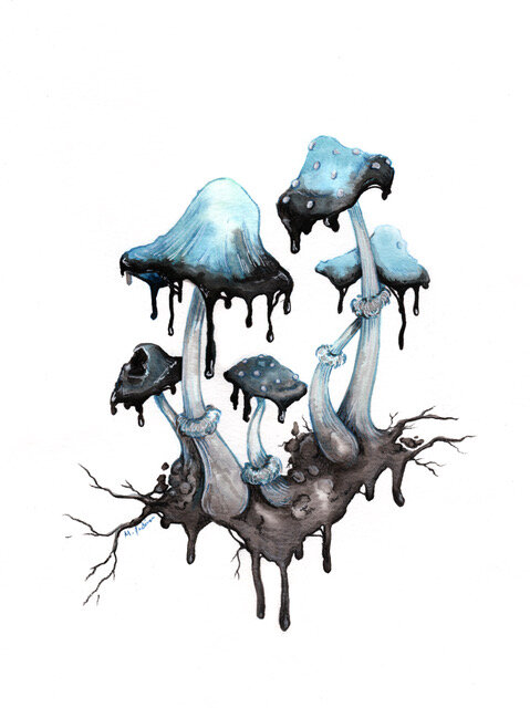 Ink Cap Mushroom.jpeg