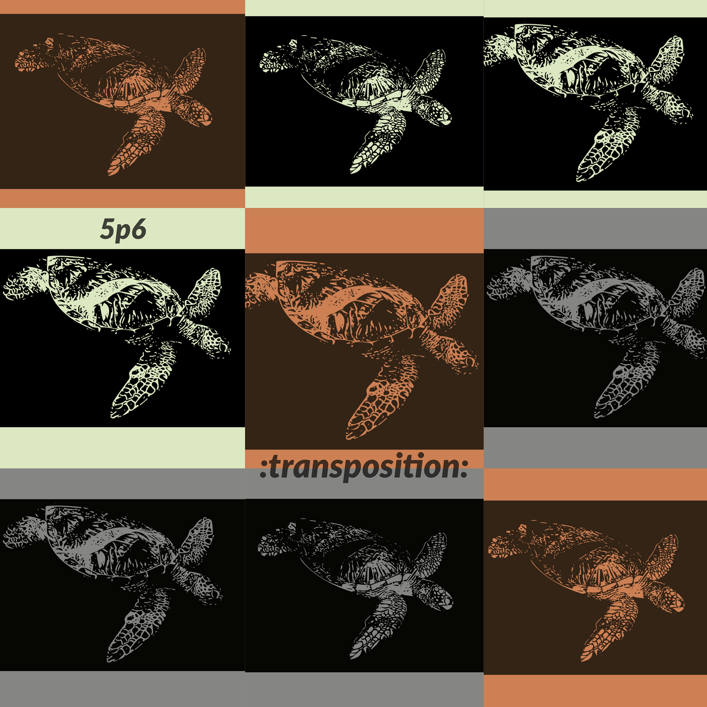 5p6 transposition cover-1400.png