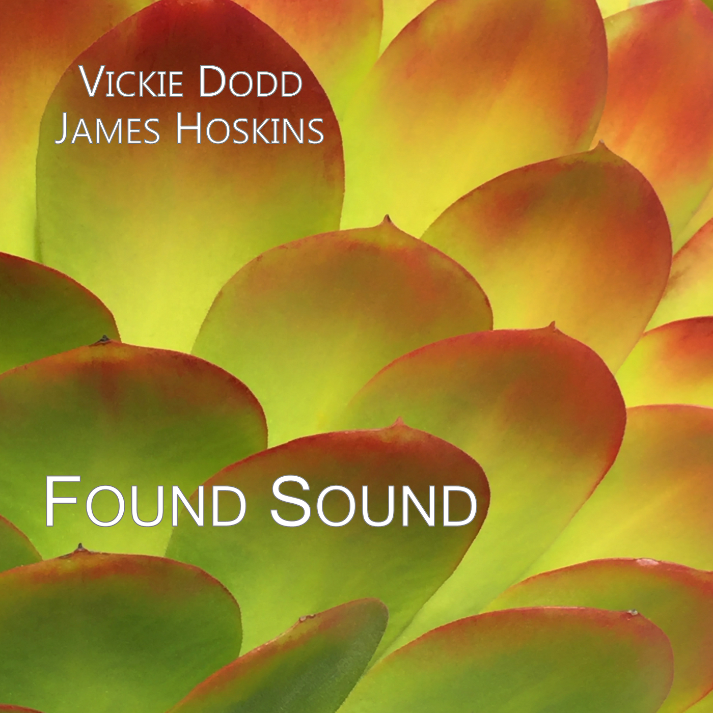 Dodd-Hoskins: Found Sound