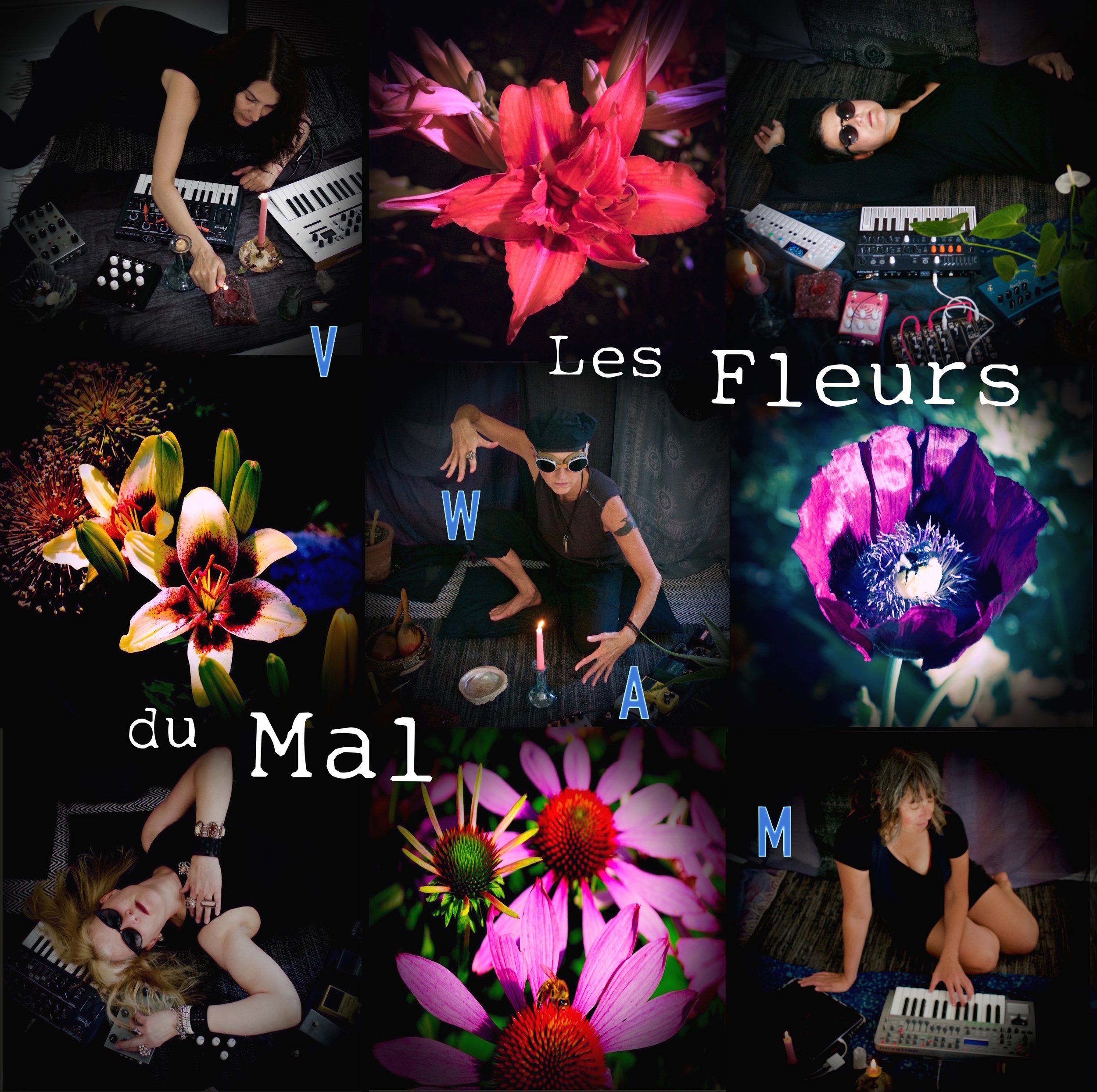 VWAM: Les Fleurs du Mal