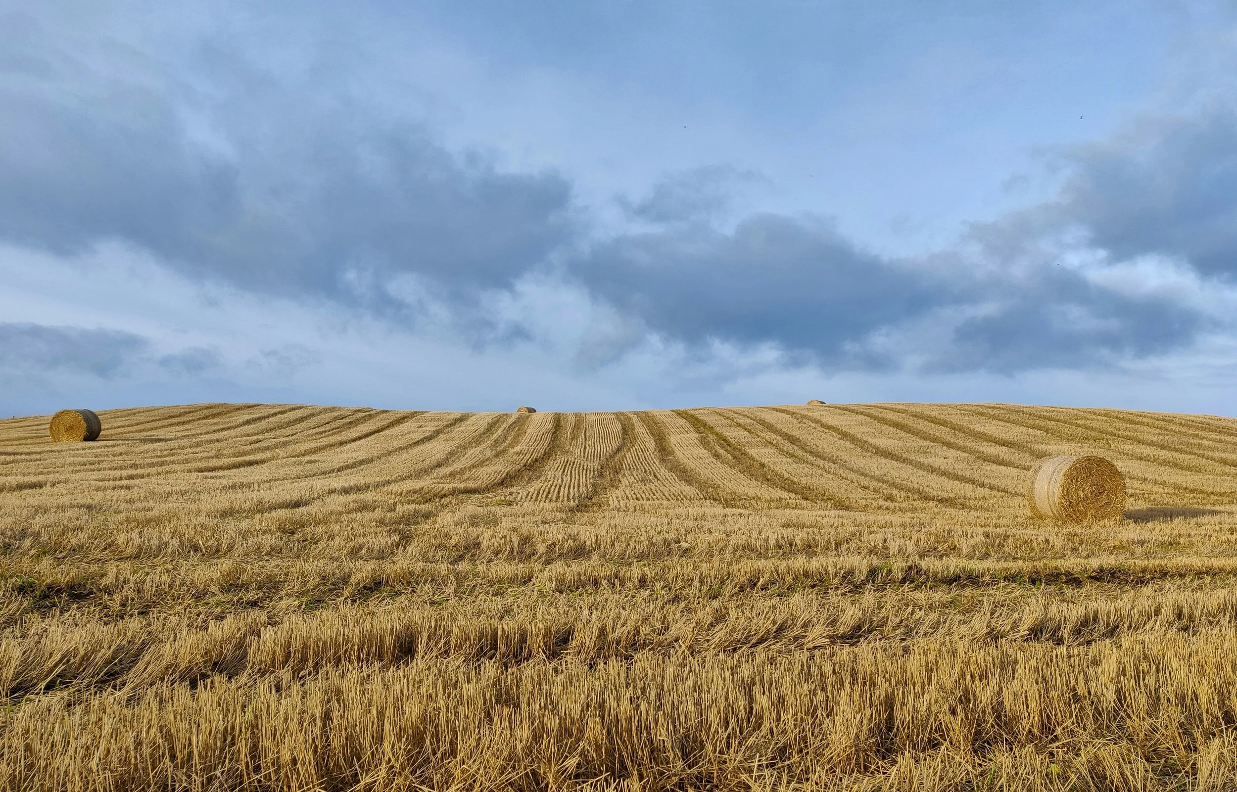 Hidden Headspace of the Heartland