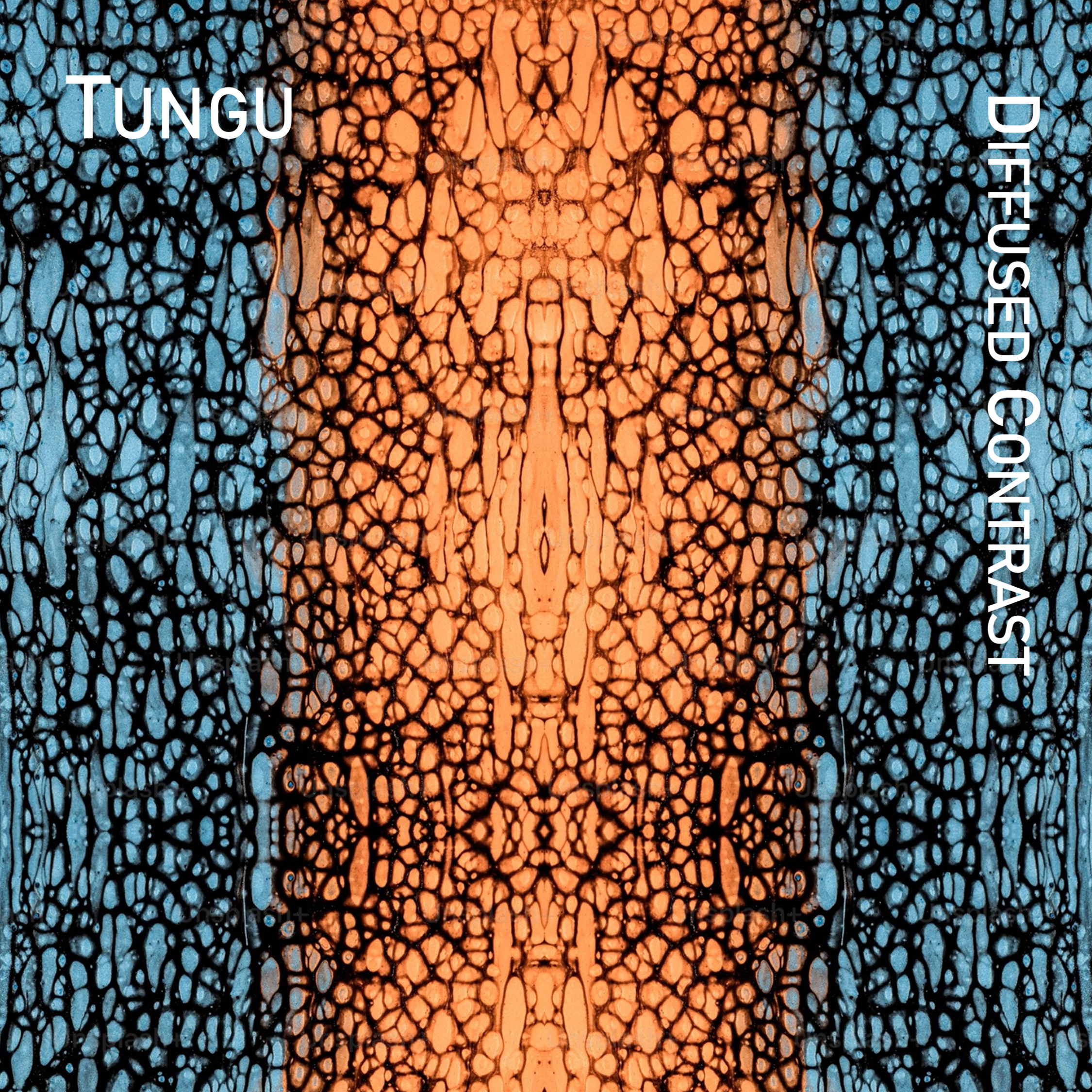 Tungu: Diffused Contrast