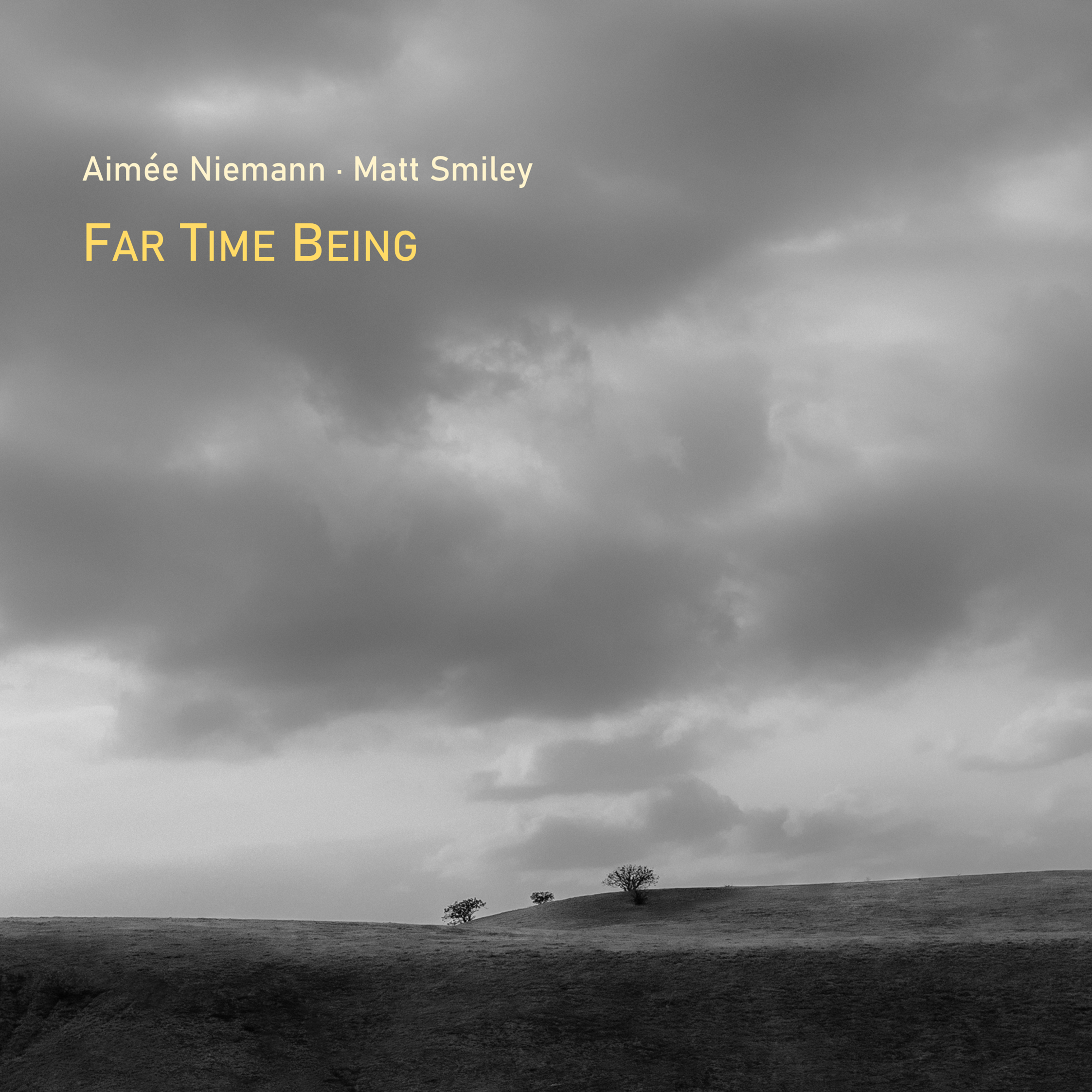 Niemann-Smiley: Far Time Being