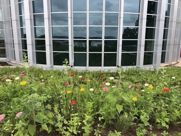 Fayetteville Public Library Expansion — Ozark Green Roofs