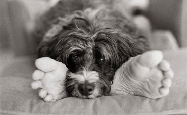 Chance-and-Judy-feet-6x10.jpg