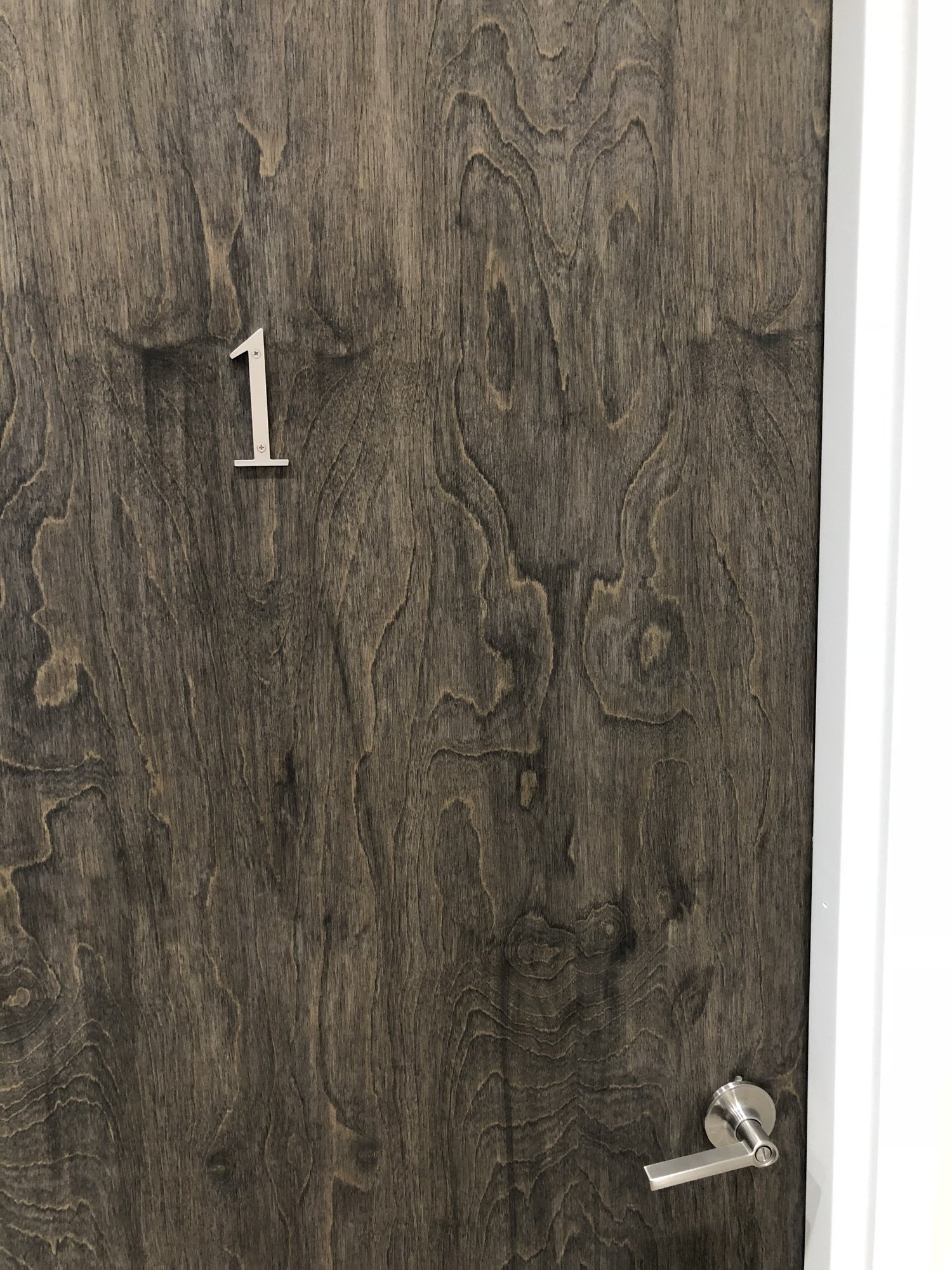 Door Roswell Office.jpeg