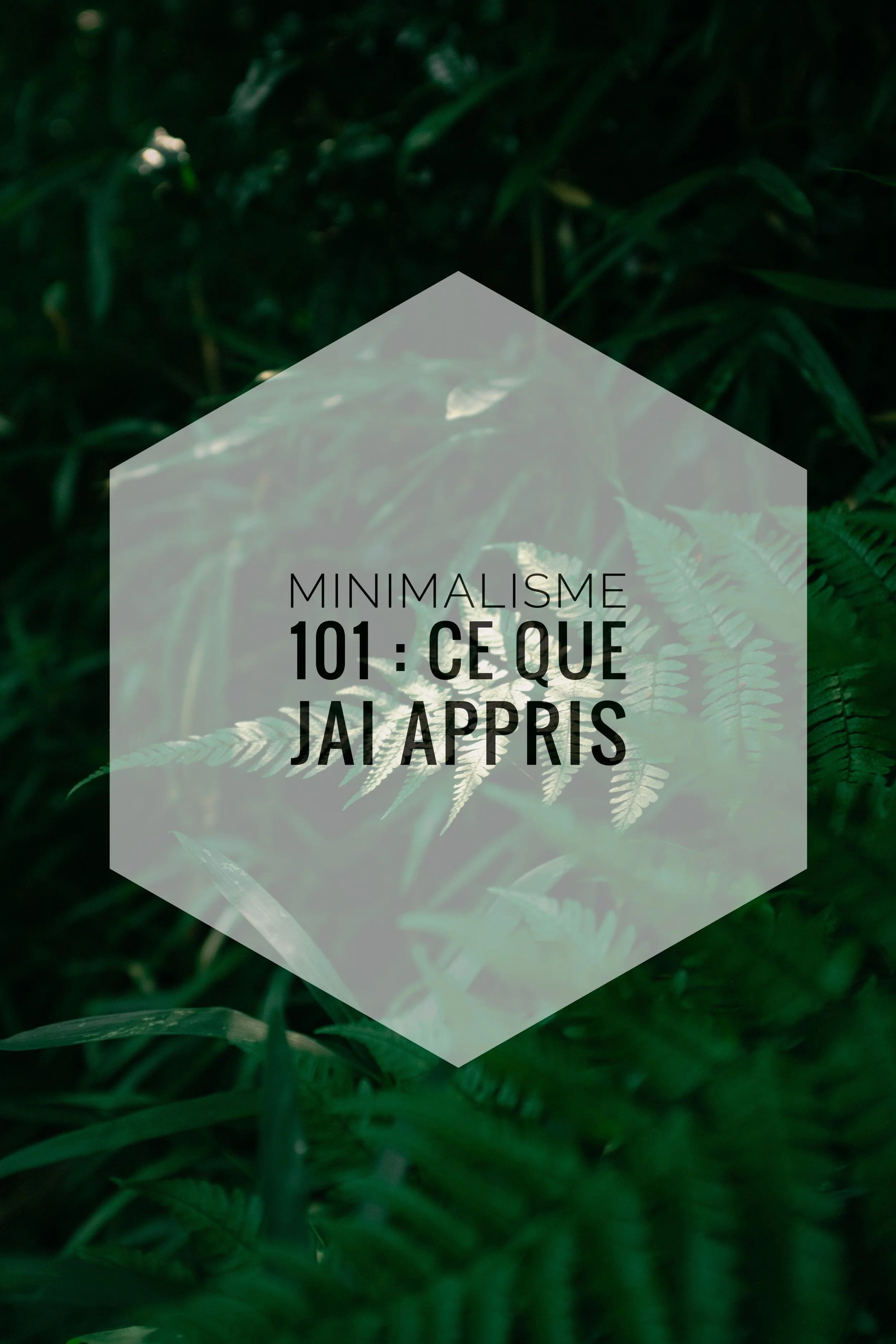 Minimalisme 101 : Ce que j'ai appris | Épisode 008