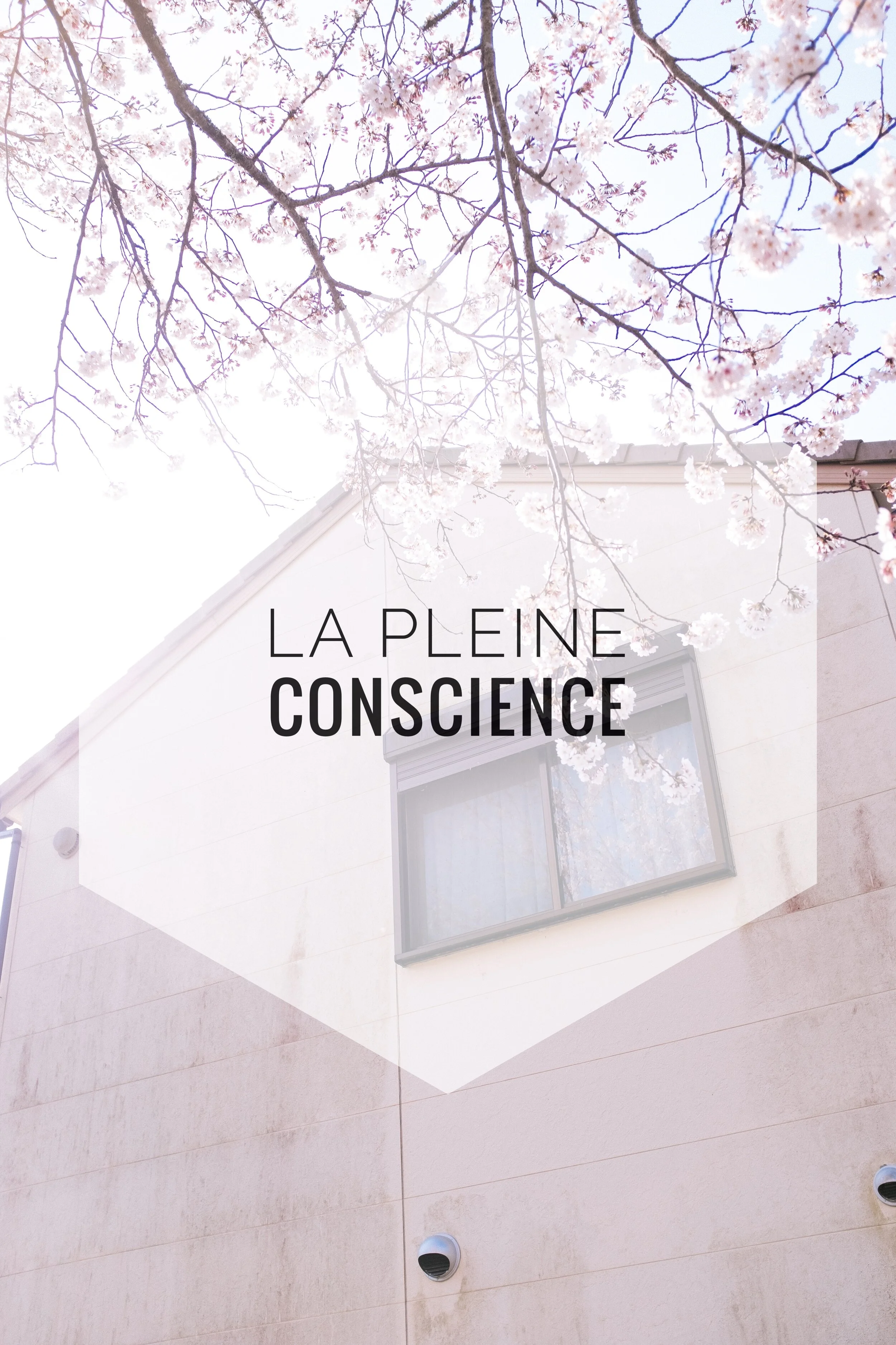 La pleine conscience | Épisode 010