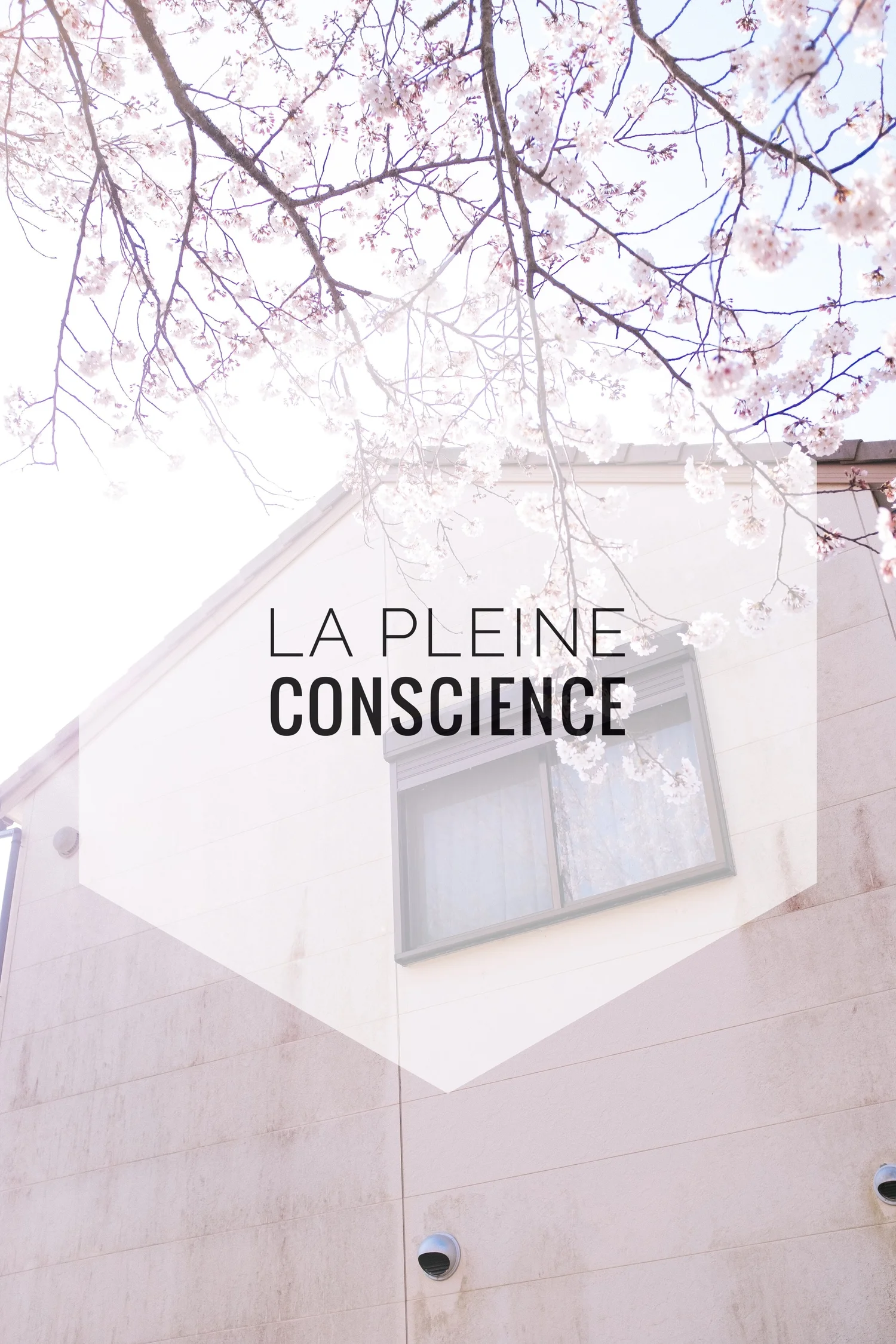 La pleine conscience | Épisode 010 episode artwork