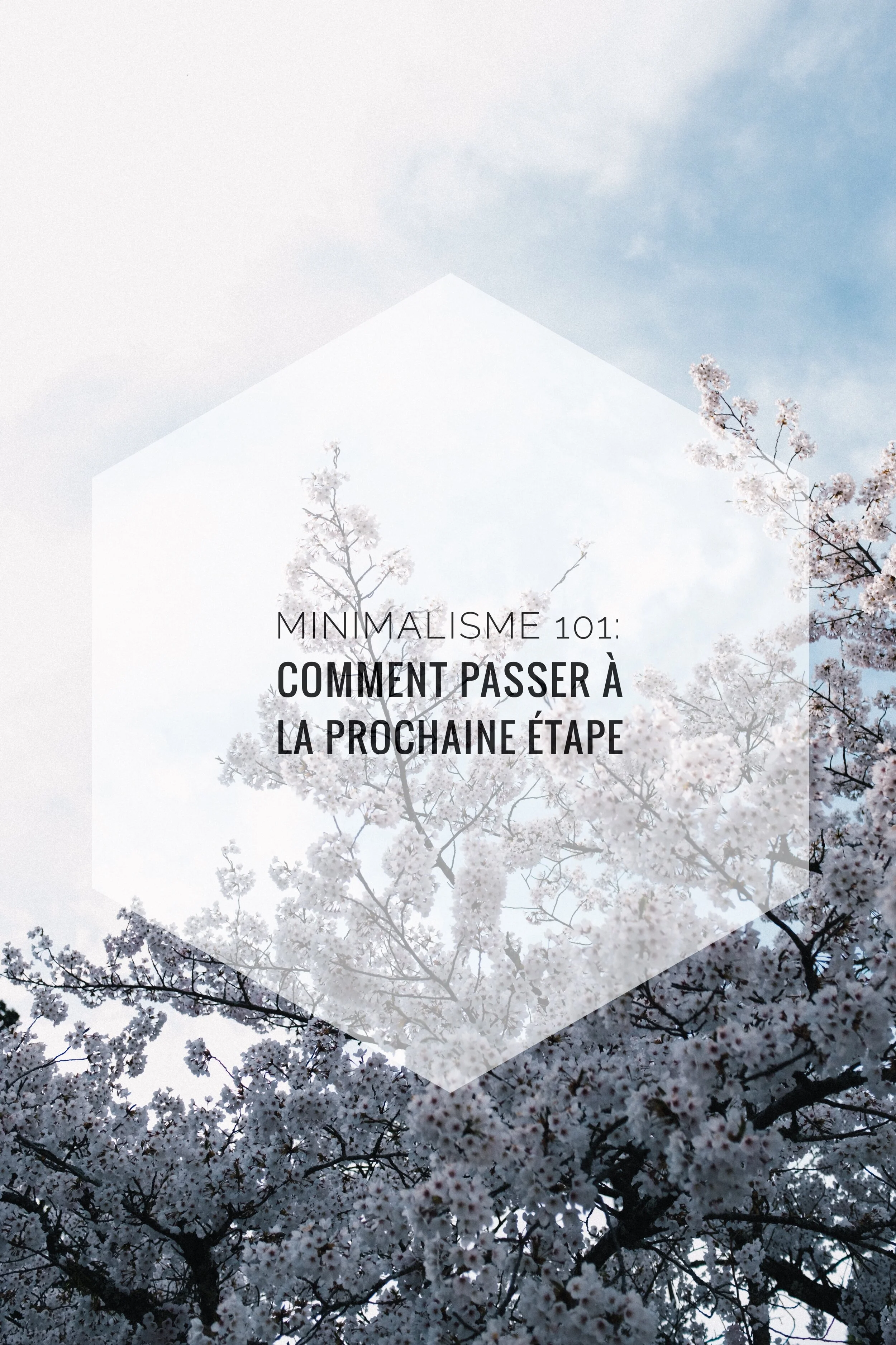 Minimalisme 101: Comment passer à la prochaine étape | Épisode 013