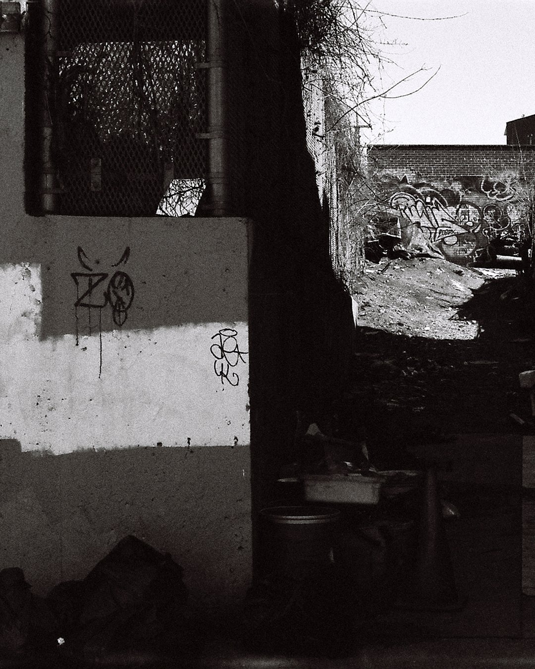 Beside the Train