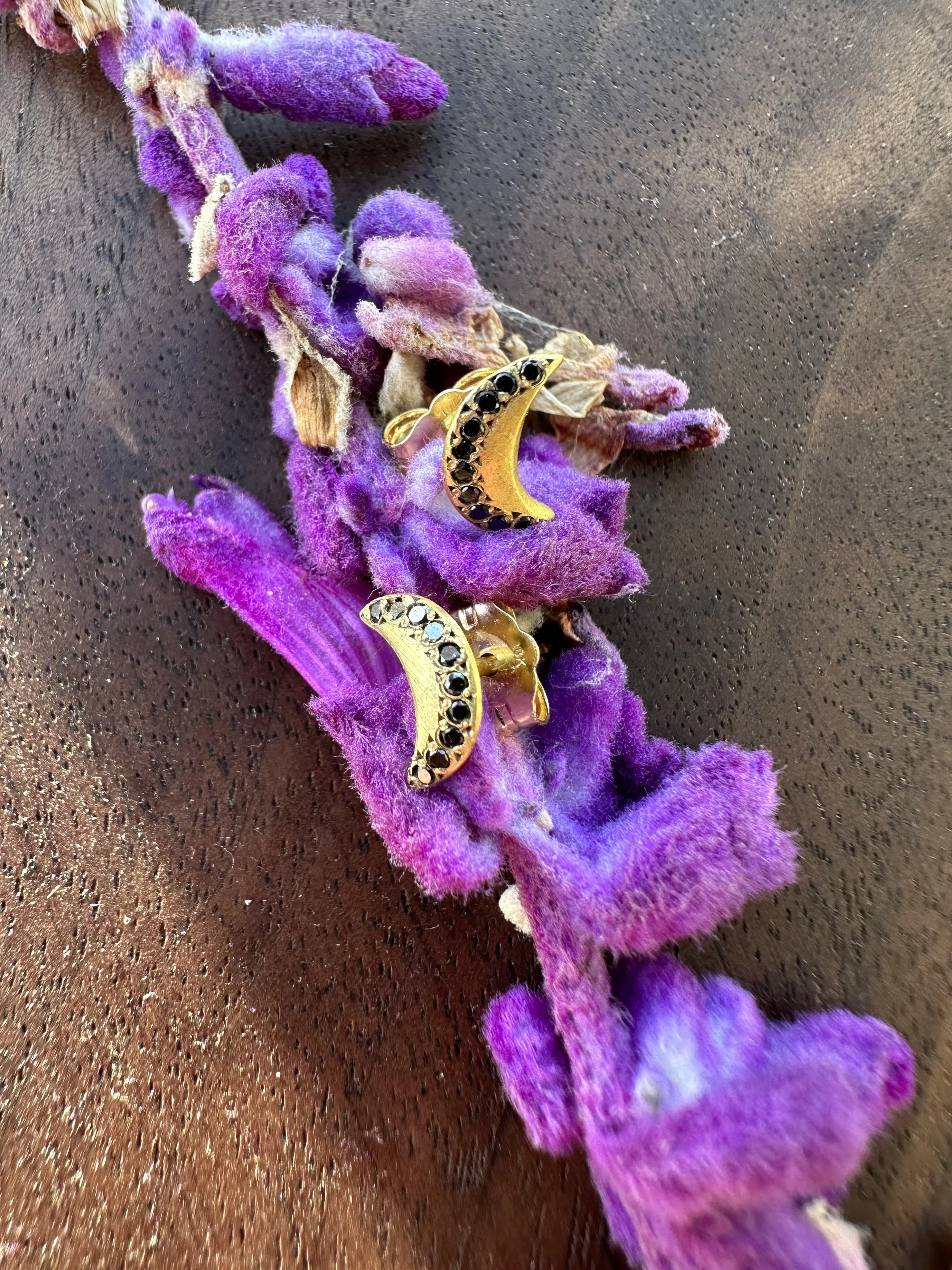 AILI 18K Black Diamond Crescent Moon Stud Earrings