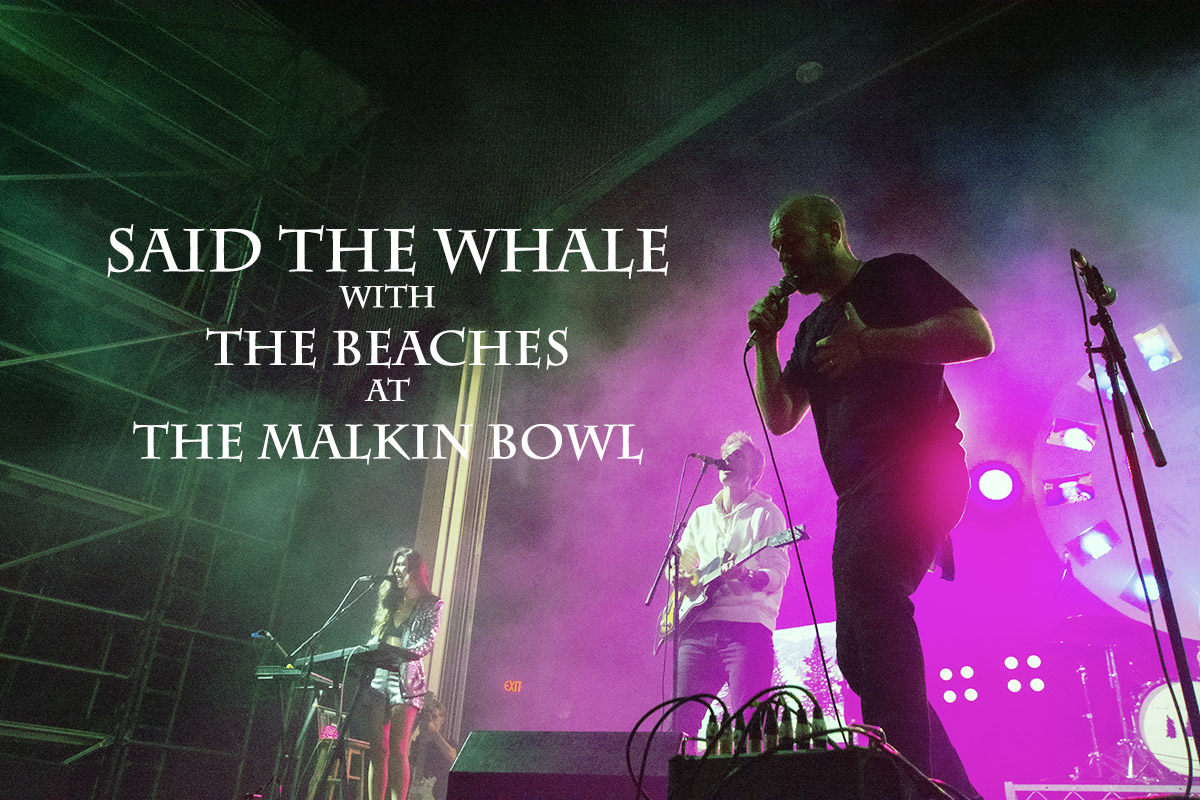 said_the_whale_header_4339.jpg