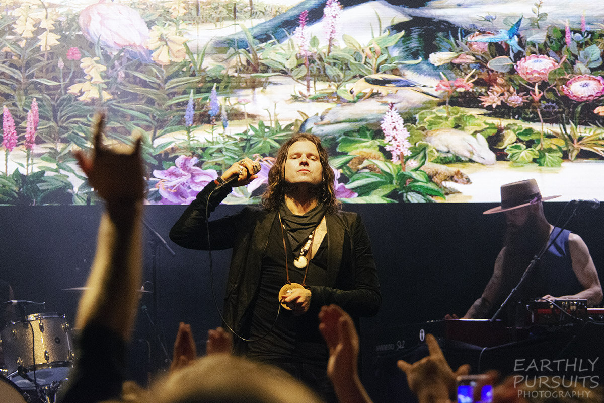 rival_sons_at_summerset_3684.jpg