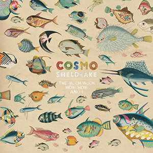 cosmo_sheldrake-come_along-1080__large.jpg