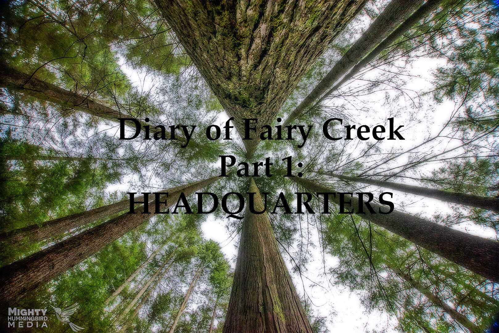 Diary of Fairy Creek Part 1: Headquarters