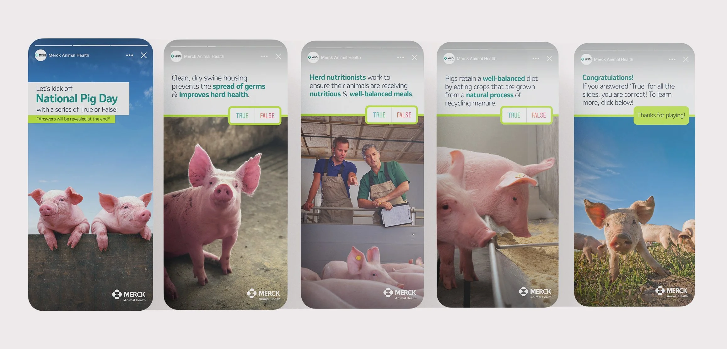 MerckNationalPigDayStories.jpg