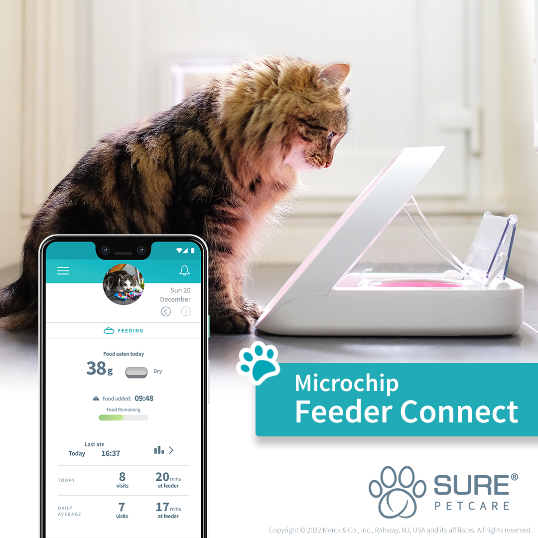 SPC_FeederConnect_Facebook_InFeedAd_Midfunnel_1x1.png