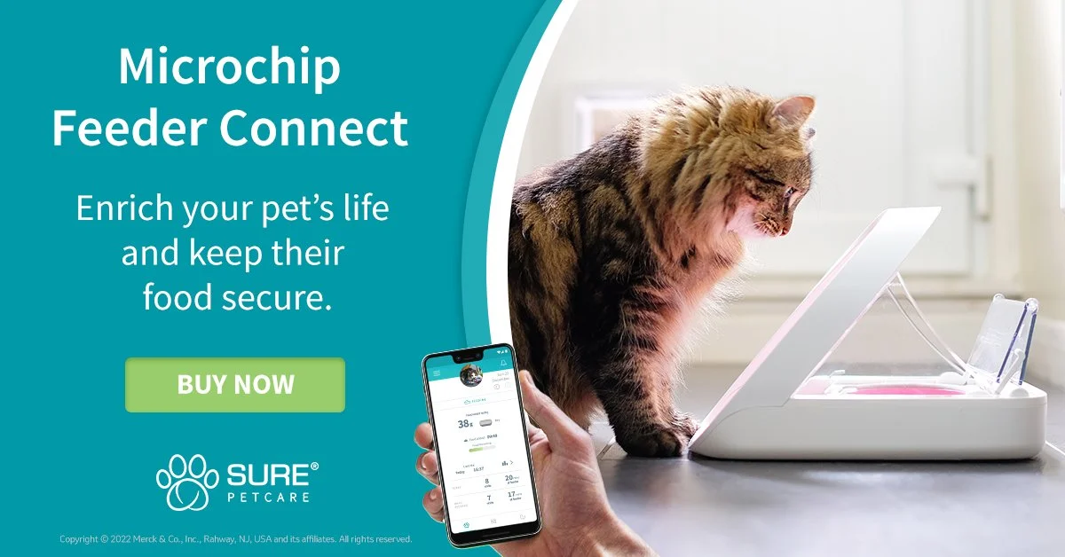 SPC_FeederConnect_GoogleAd_LowFunnel_1200x628.jpg
