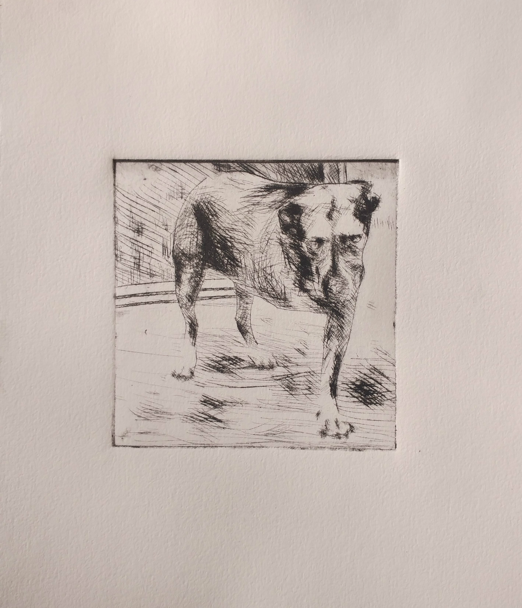 Tripod, 2016