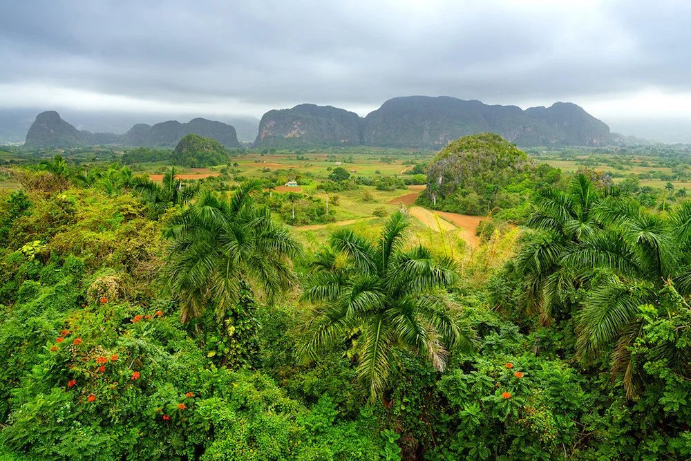 Vinales Cuba-small.jpg
