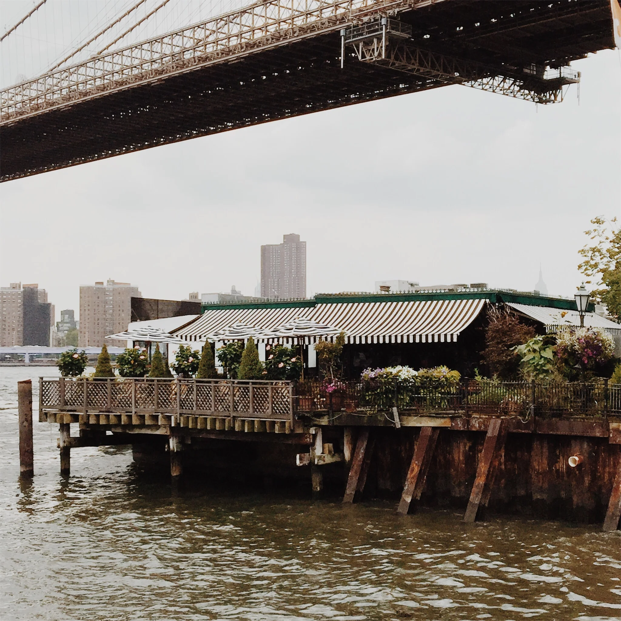 Insider's View: August in New York City 