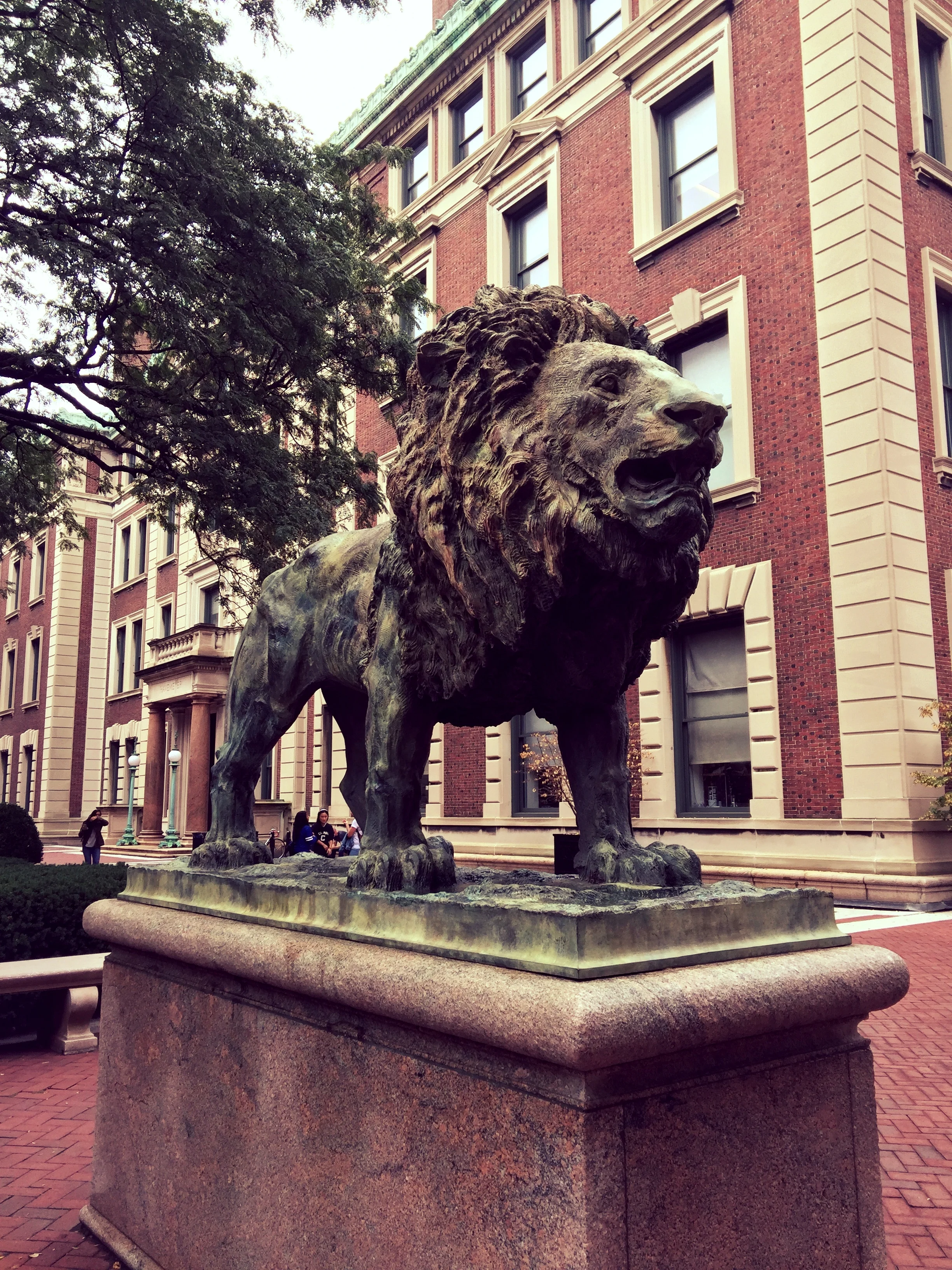 When At First You Don’t Succeed, Don’t Give Up Too Soon