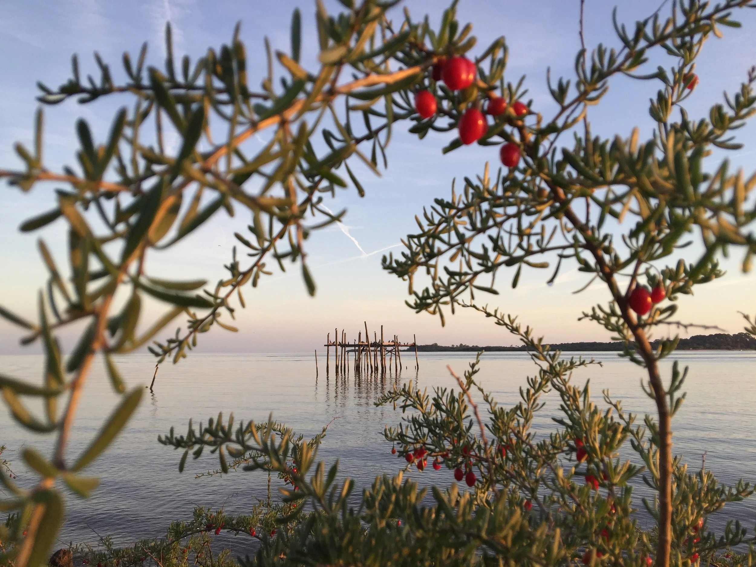 New Year's Resolutions for College-Bound Students: 19 Ideas 