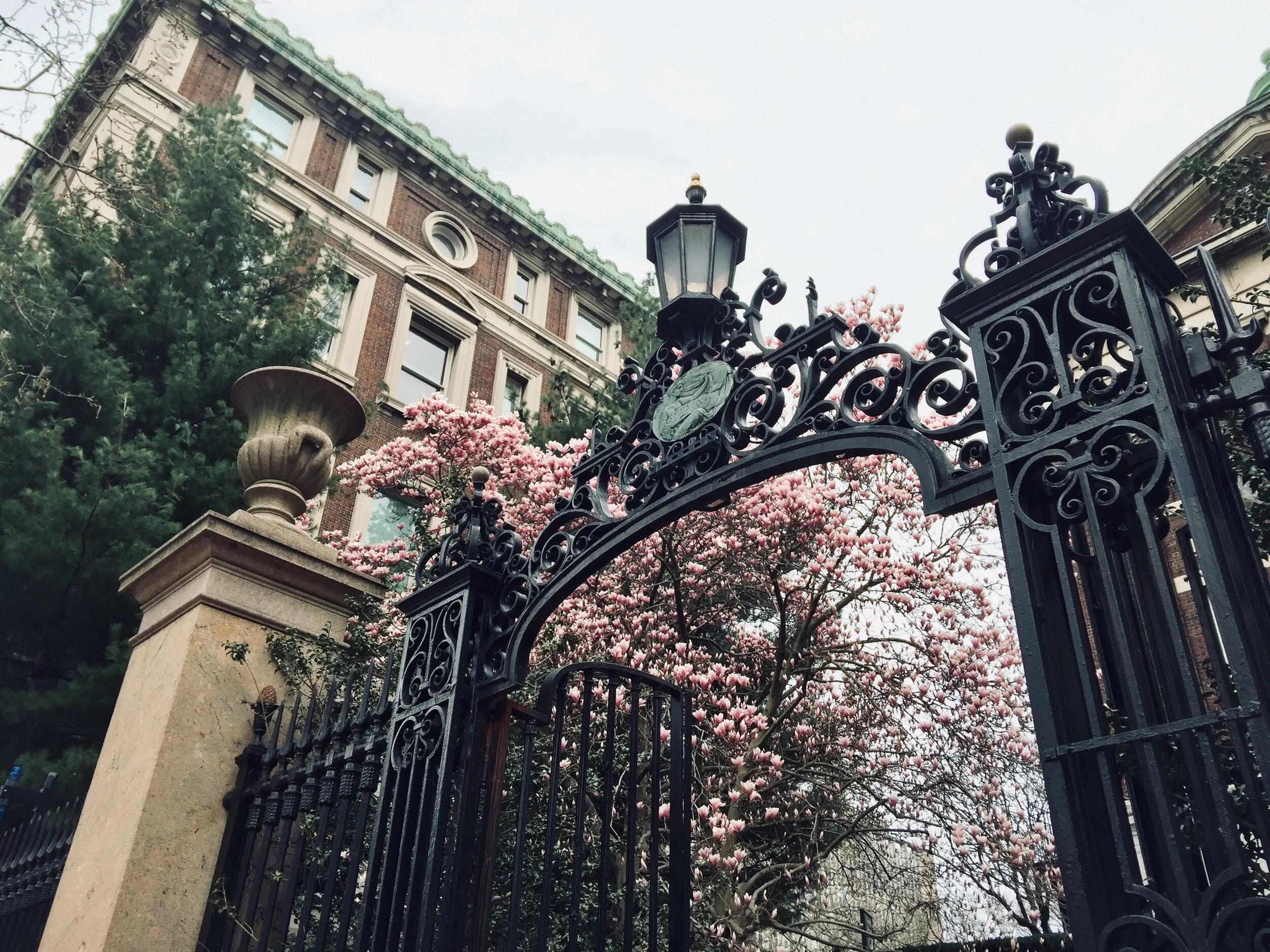 This is not the main entry to the Columbia University campus, but it is my personal favorite gate to pass by.
