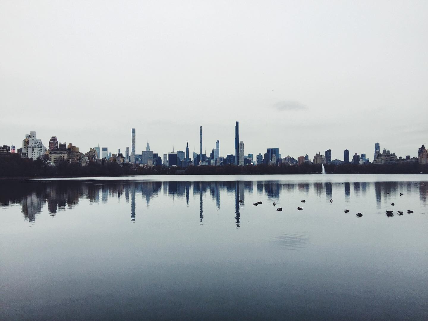 I took this photo on January 1, 2021. The day remained gray beyond the morning and I remember dwelling on the hues while walking around the reservoir with Max. Looking back on this photo, the atmosphere feels eerie but from experiencing that day, it 