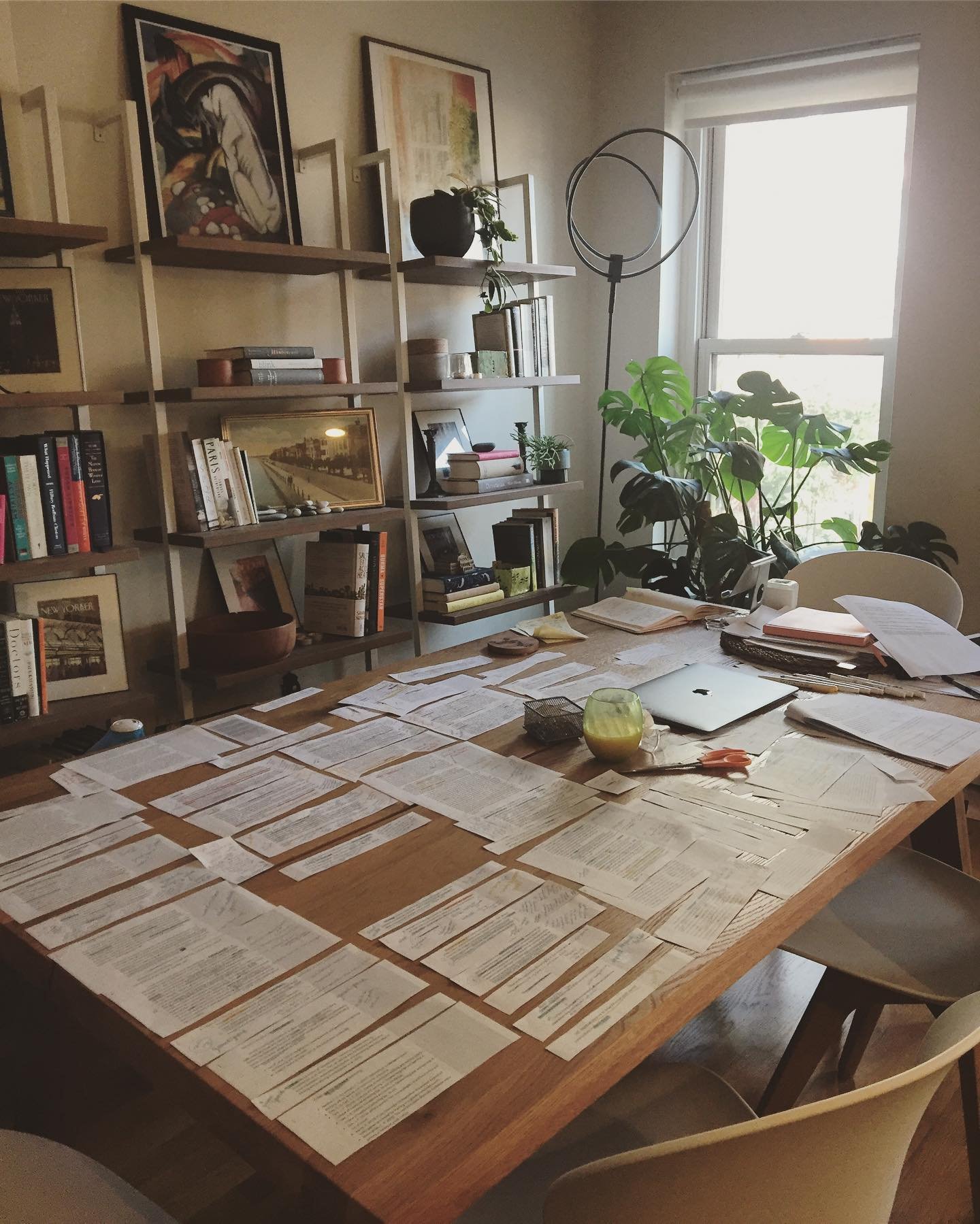 There is actual light at the end of the tunnel. Joyful light! I took this photo Tuesday morning, my last day of assembling my lit review on the table, having my version of a “dinner table conversation” with scholars. Later that afternoon,