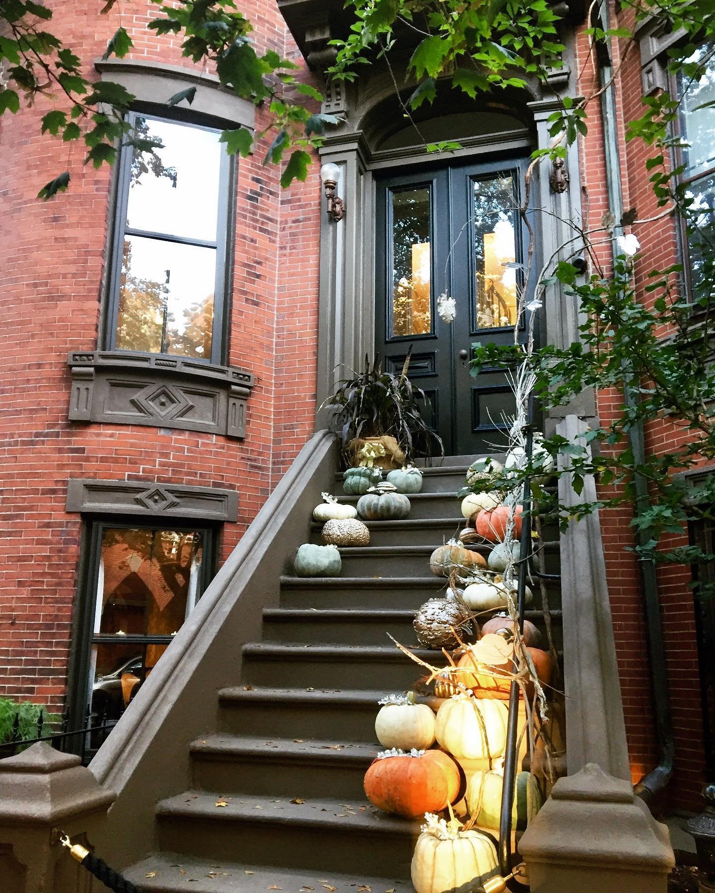 It has been a couple weeks since my previous share. I honestly don’t know where time is going. When October started, I said I’d stroll the South End and take lots of fall photos. It’s now November and I pretty much forgot about Hall
