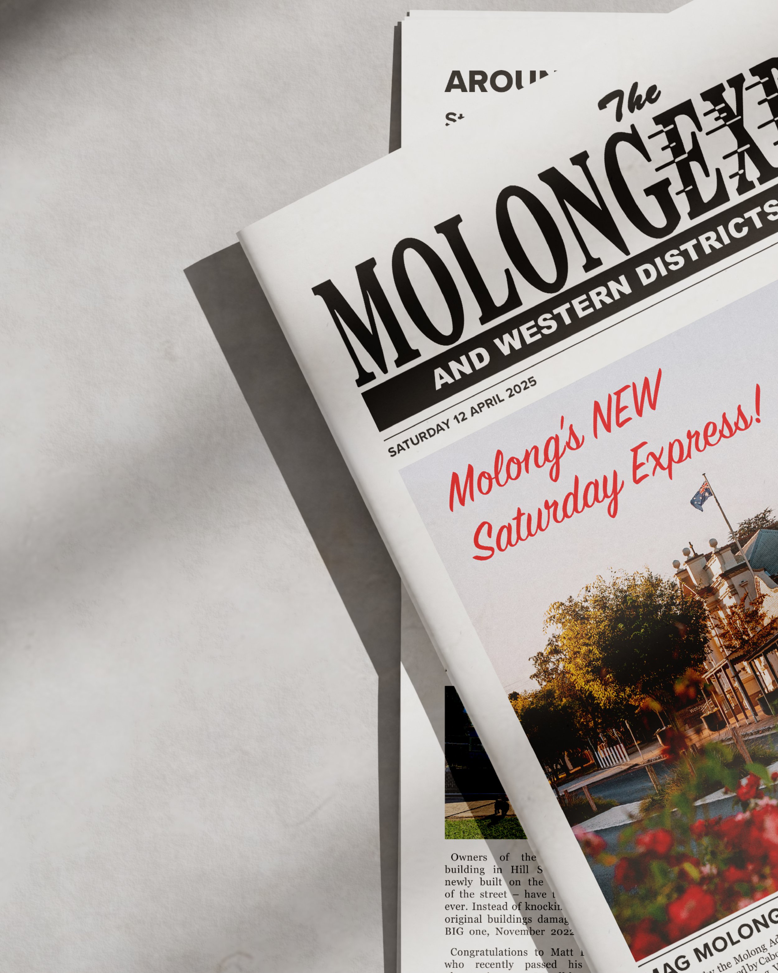 newspaper publication