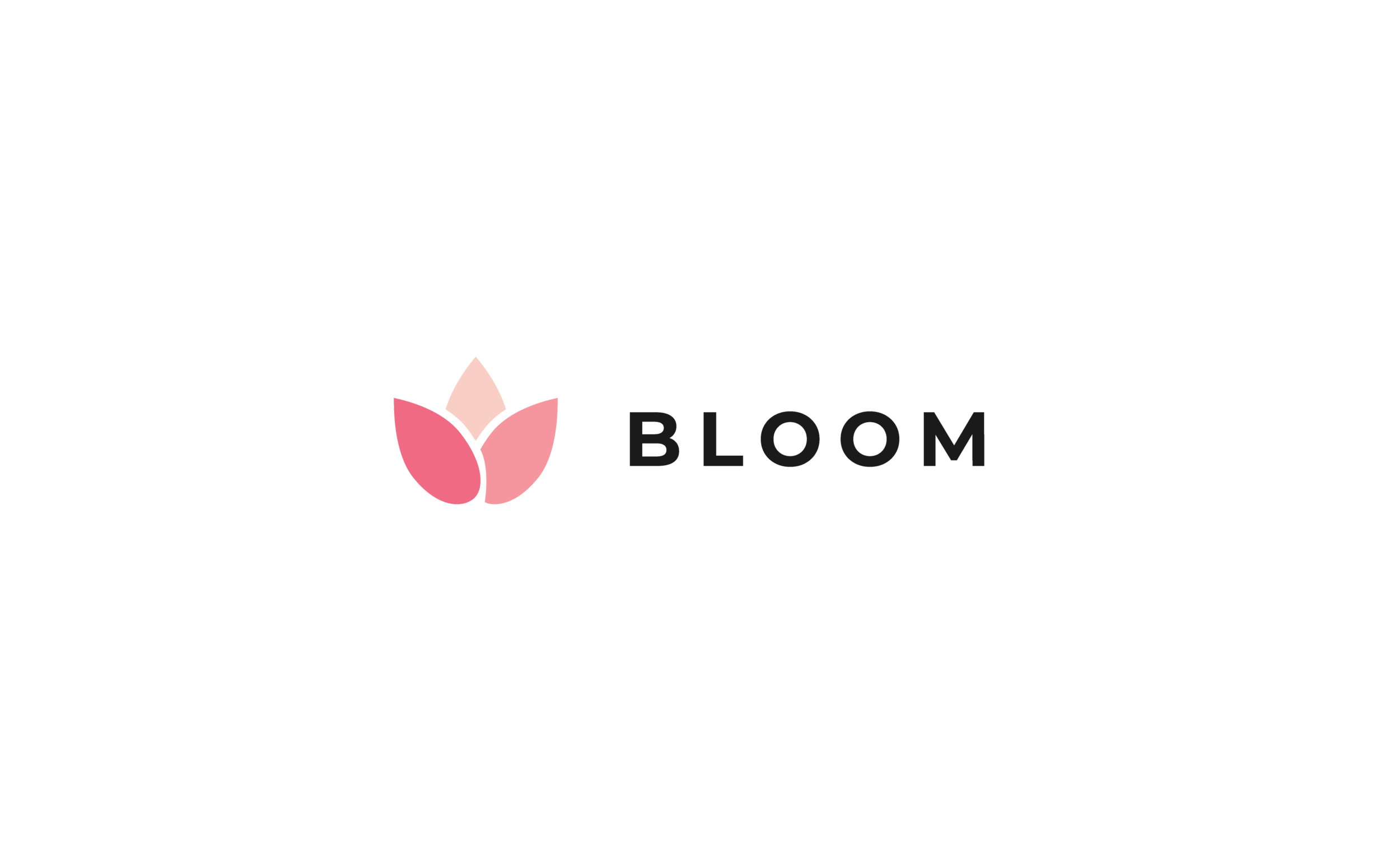 Branding Guide — Bloom Foundation — A Nonprofit Dedicated To Girls ...