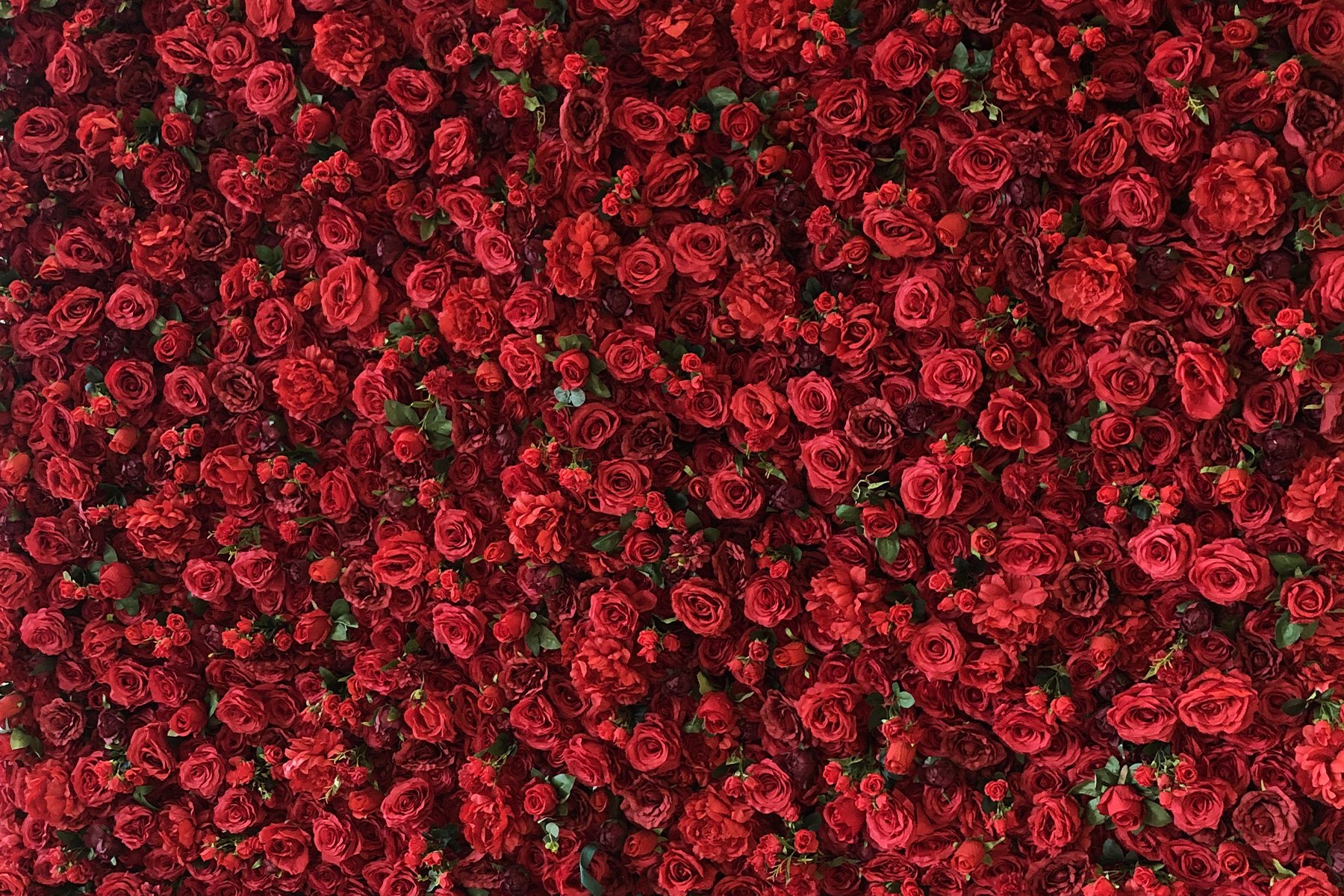 red-flower-wall.jpg