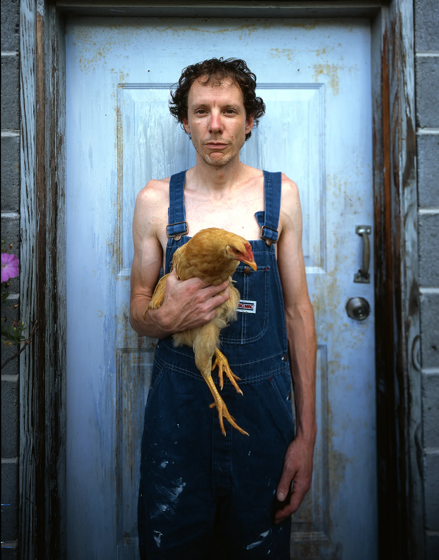 wiggins2-4x5.jpg
