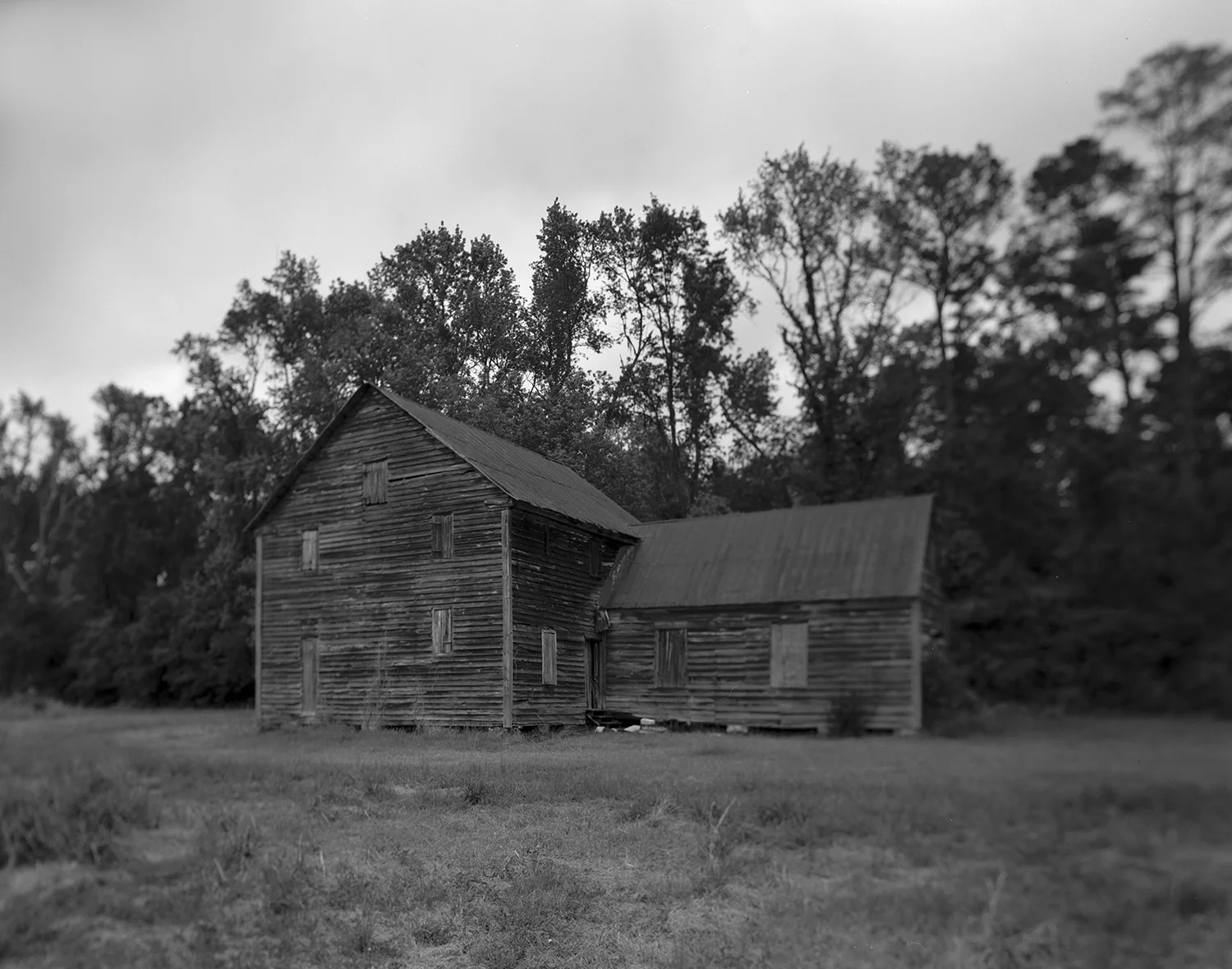 4x5 negatives 3.jpg