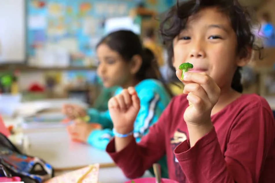 We have supported students with food education