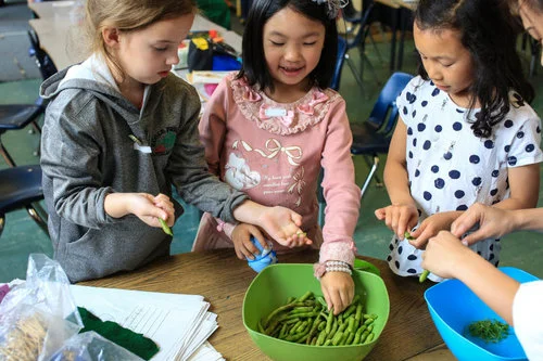 Connect communities through food
