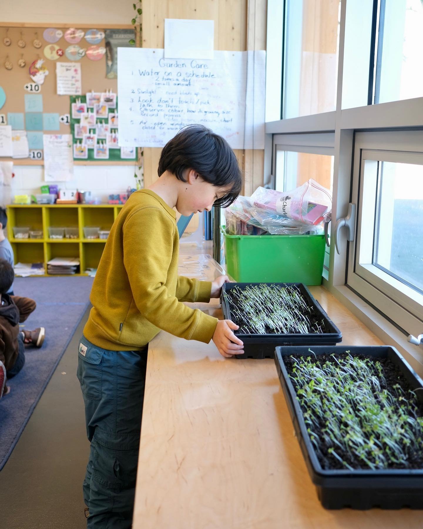 Can you believe it&rsquo;s only been one week since we planted lettuce and mesclun seeds, and this classroom is already seeing sprouts? 🤗🌱

We began week two of our Classroom Programs with our Class Crunch&mdash;checking in on our planting beds!