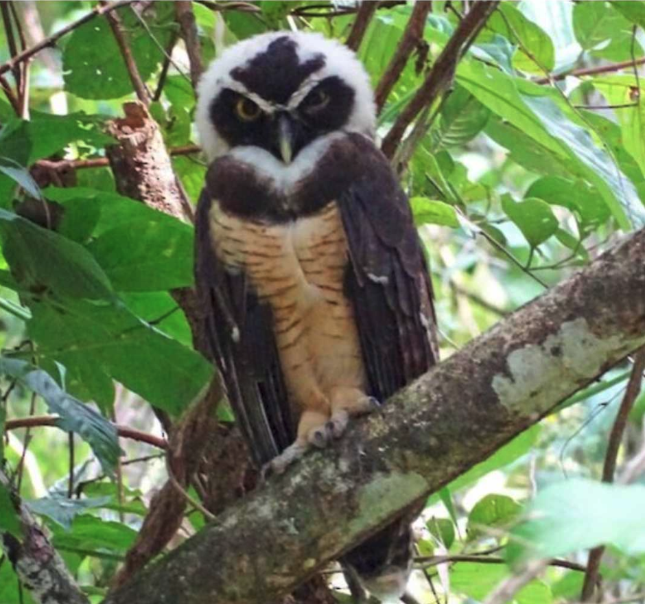 Screenshot 2026-05-20 at 12.20.43 PM.png