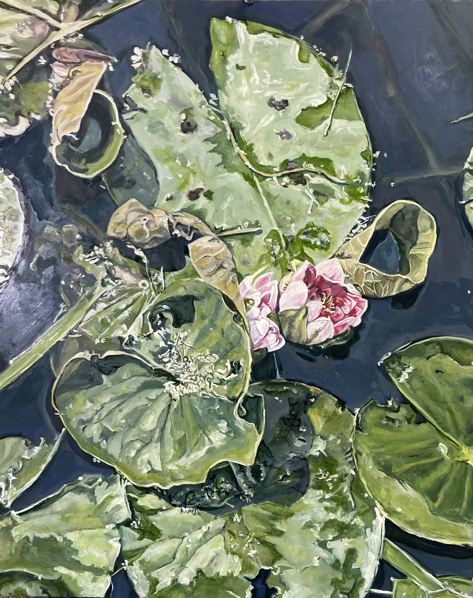Untitled (Waterlilies of Zaanes Schans)