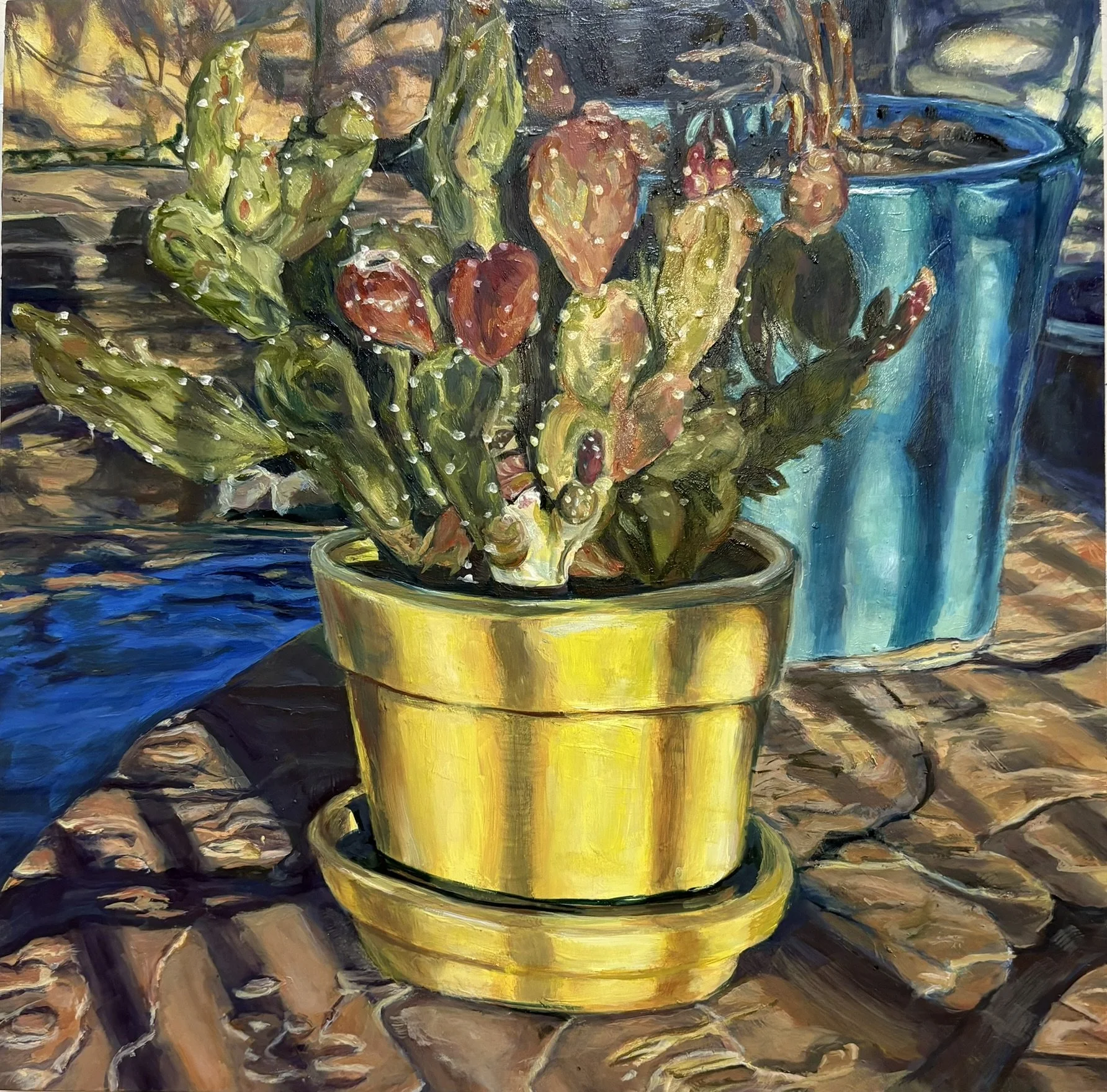 For the Love of Sunlight Through the Fence