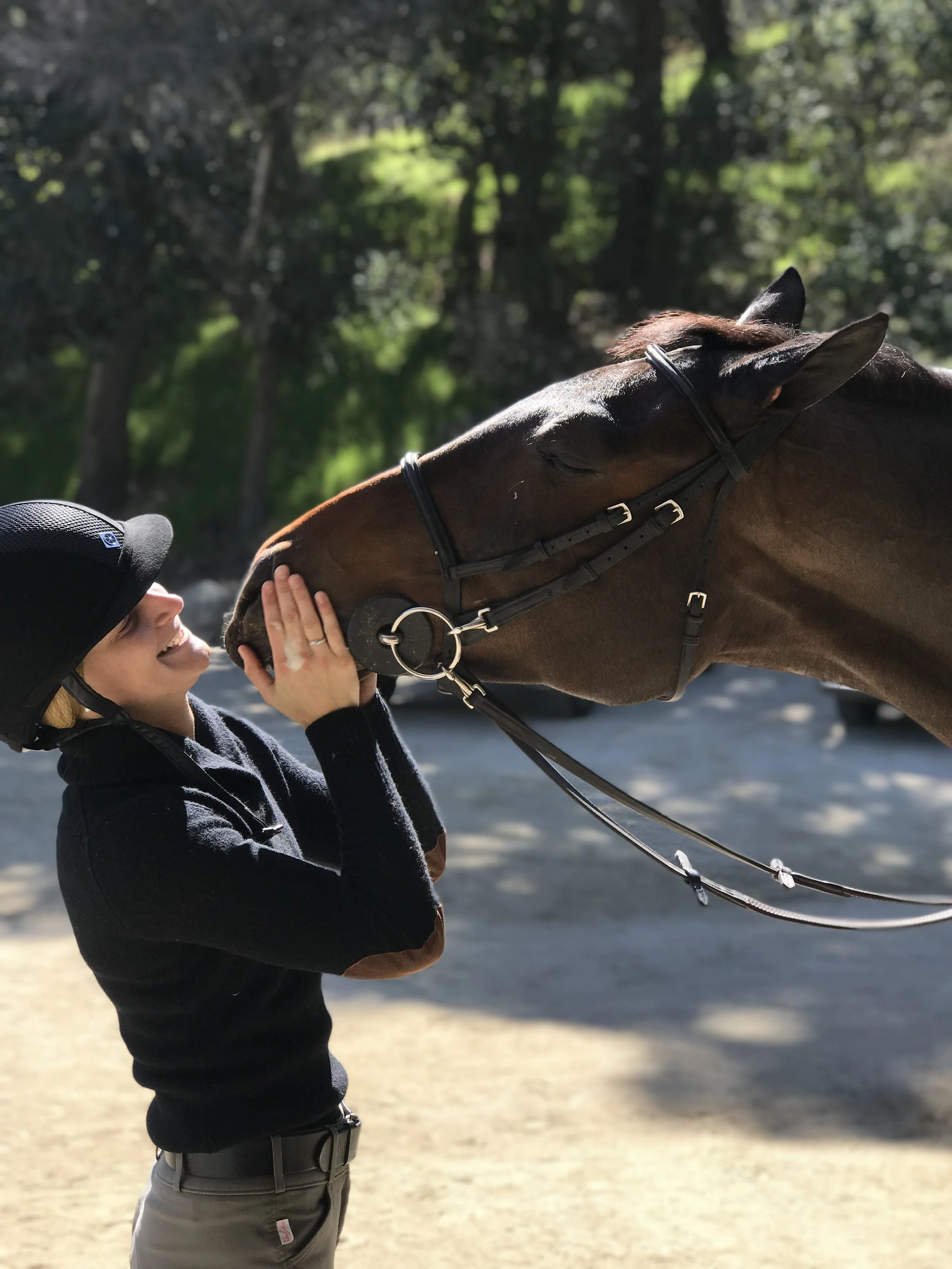 Before You Buy: Hoof Anatomy 