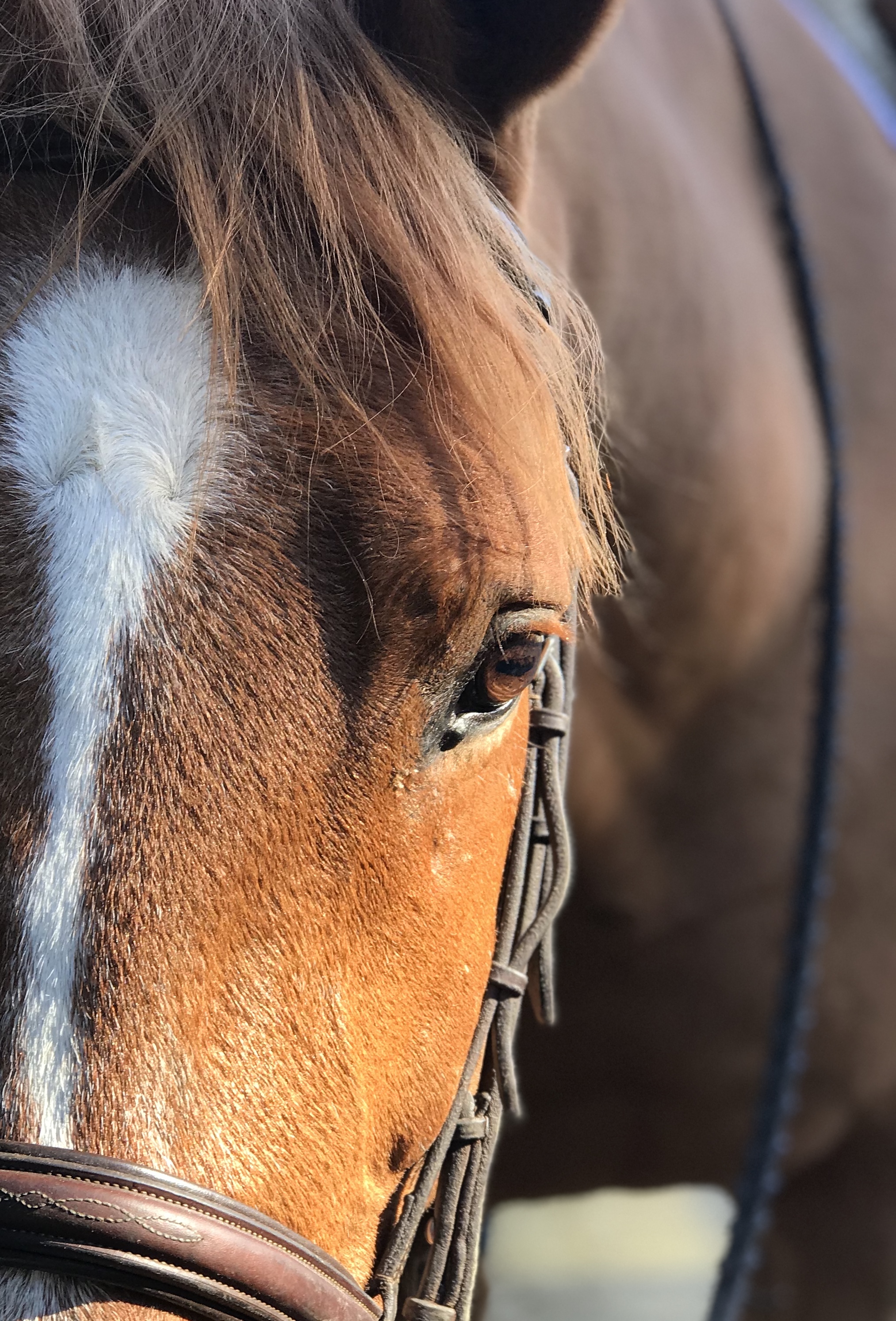 Is Safe Sport Doing Its Job?