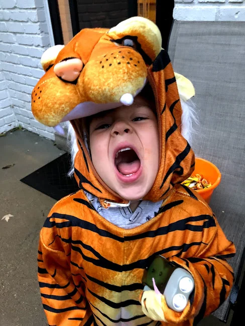 tiger.jpg